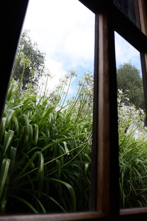 Vineyard Cottages - Kumeu Waimauku Exterior foto