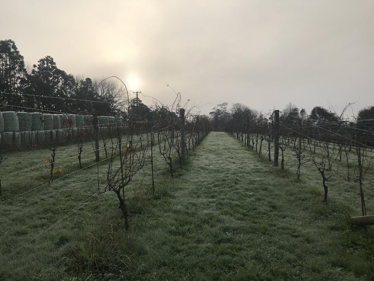 Vineyard Cottages - Kumeu Waimauku Exterior foto